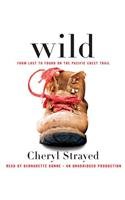 Wild: From Lost to Found on the Pacific Crest Trail [ WILD: FROM LOST TO FOUND ON THE PACIFIC CREST TRAIL ] by Strayed, Cheryl (Author ) on Mar-20-2012 Compact Disc